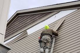 Best Fascia and Soffit Installation  in Felton, DE